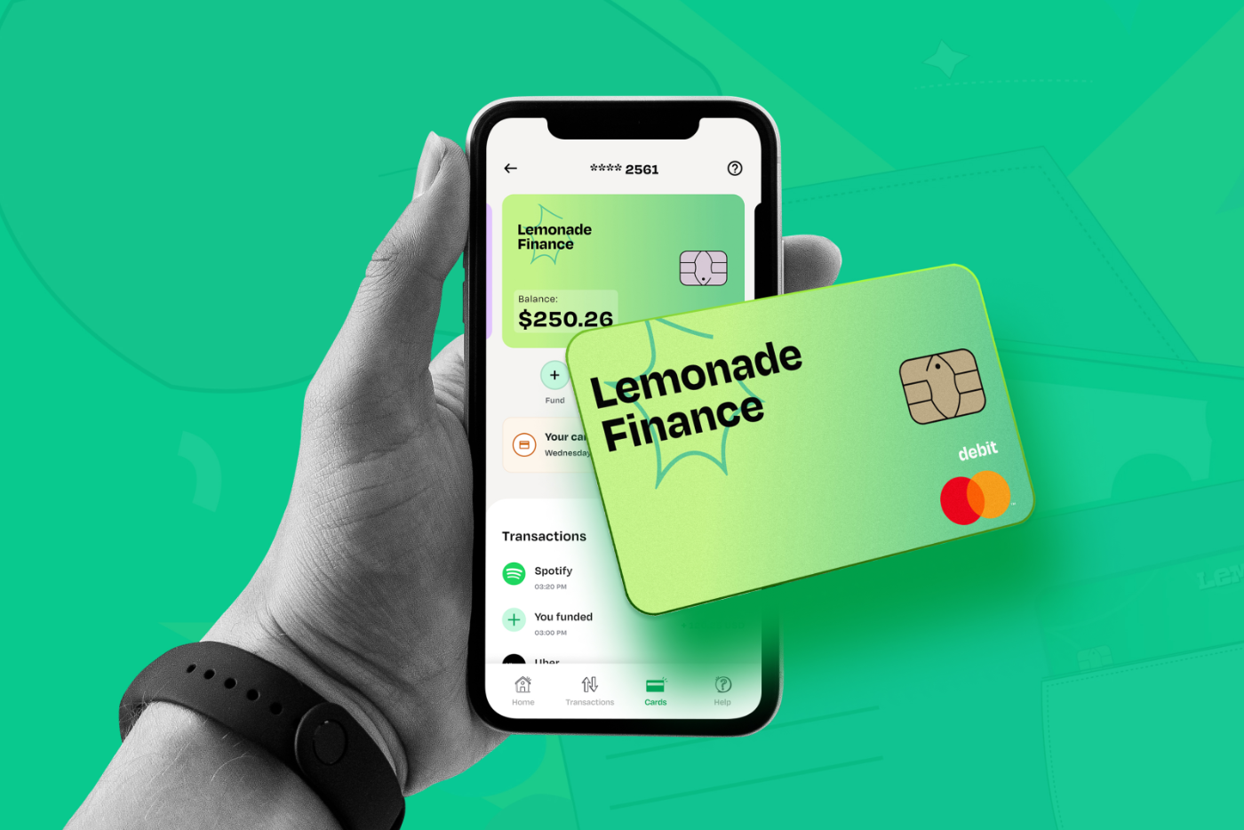 Lemfi project preview